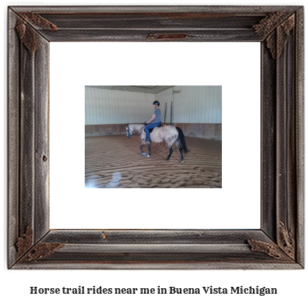 horse trail rides near me in Buena Vista, Michigan